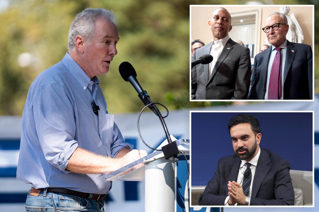 Sen. Van Vollen criticizes 'spineless' New York Democrats regarding Mamdani