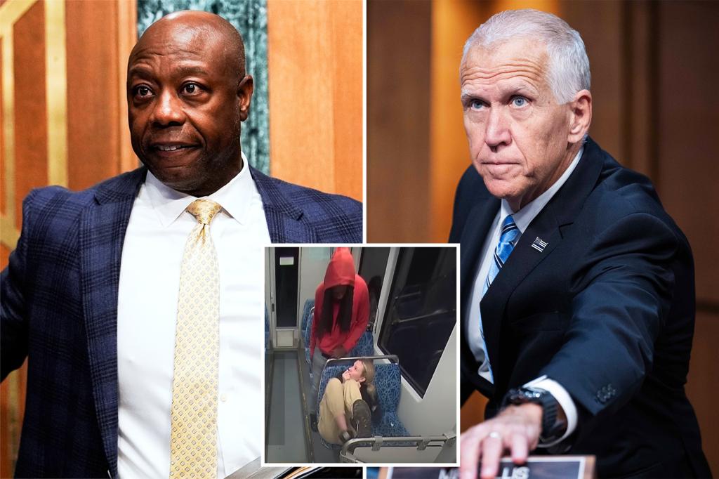 Senate Republicans propose a task force to address violence in public transit following Iryna Zarutka's murder on a Charlotte train