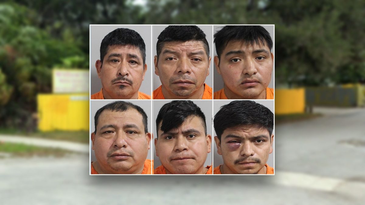 Six Guatemalans in Florida were arrested for being in the country illegally following a hit-and-run investigation.