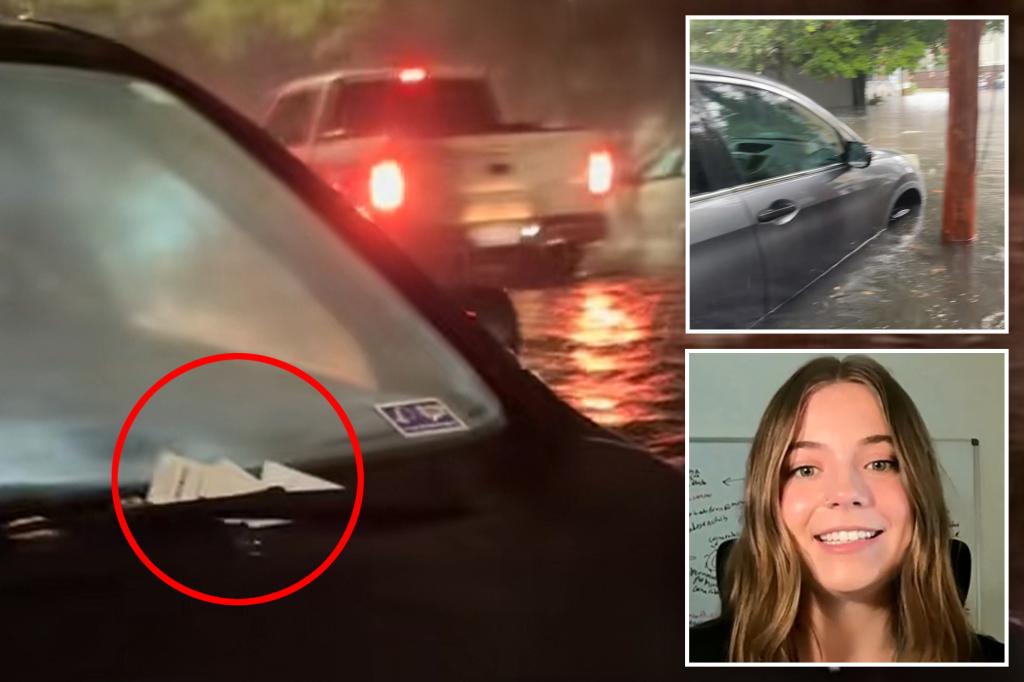 South Carolina resident Ana Brooks discovers her car was ticketed several times after floodwaters moved it into a tow-away area.