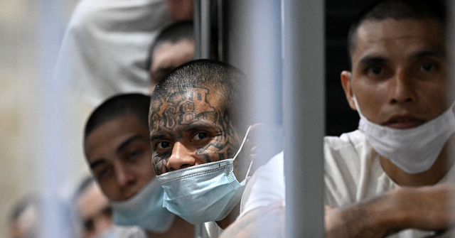 Split Fifth Circuit Prevents Trump from Using Alien Enemies Act for Deportations