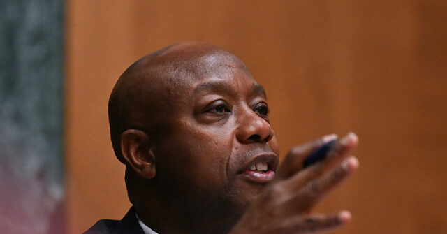 Stephen Miran's Approval Will Direct the U.S. Toward Improved Domestic Production