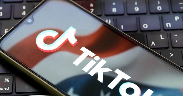 Suggested TikTok Agreement Estimates U.S. Operations at $14 Billion