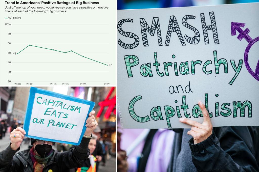 Support for capitalism among Americans reaches all-time low as interest in socialism increases: poll