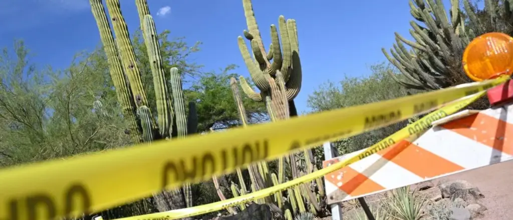 Teacher in Special Education Taken Into Custody After Video Allegedly Shows Her Engaging in Sexual Activity with Student