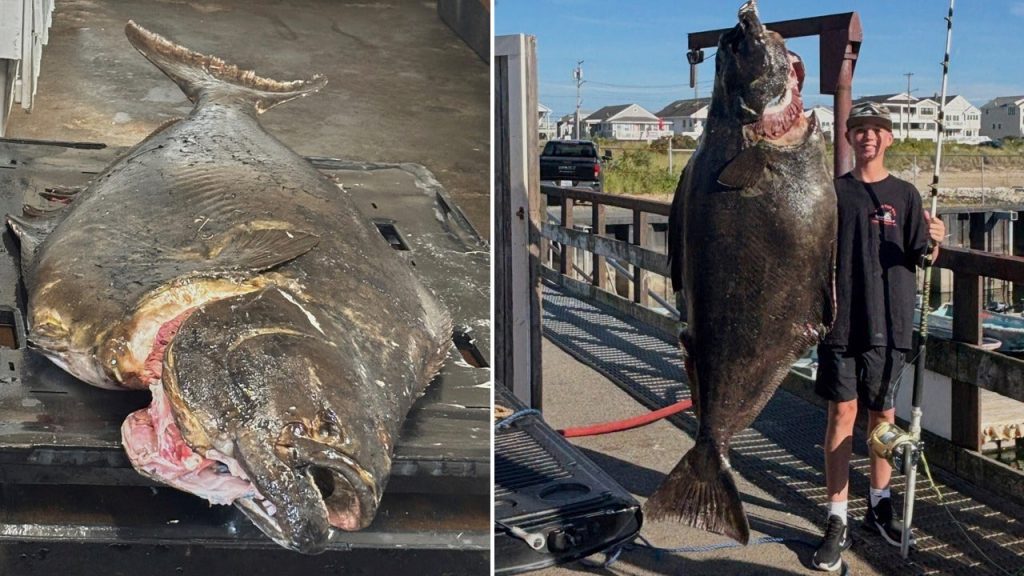 Teen catches unusual 177-pound halibut off New England coast that may set a new record