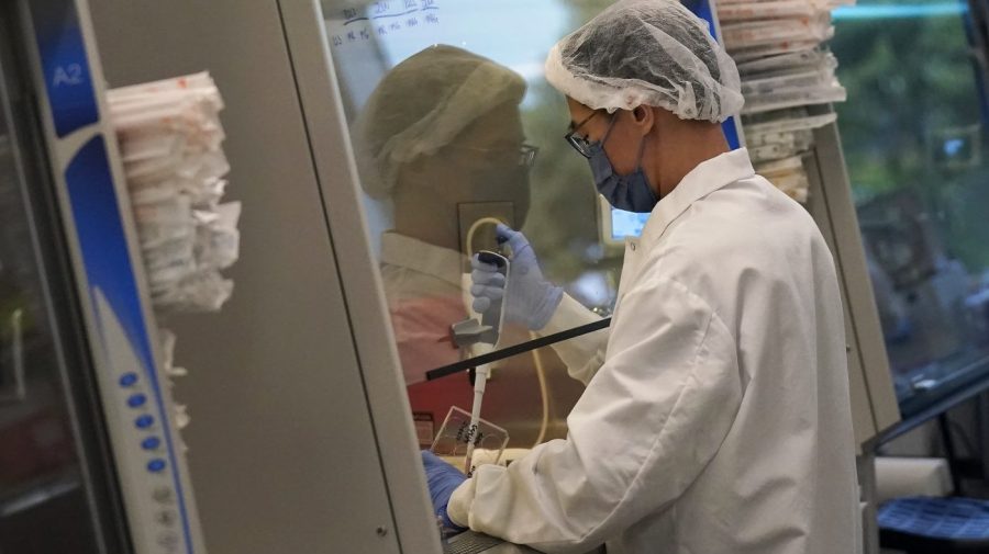 Texas implements a ban on lab-grown meat