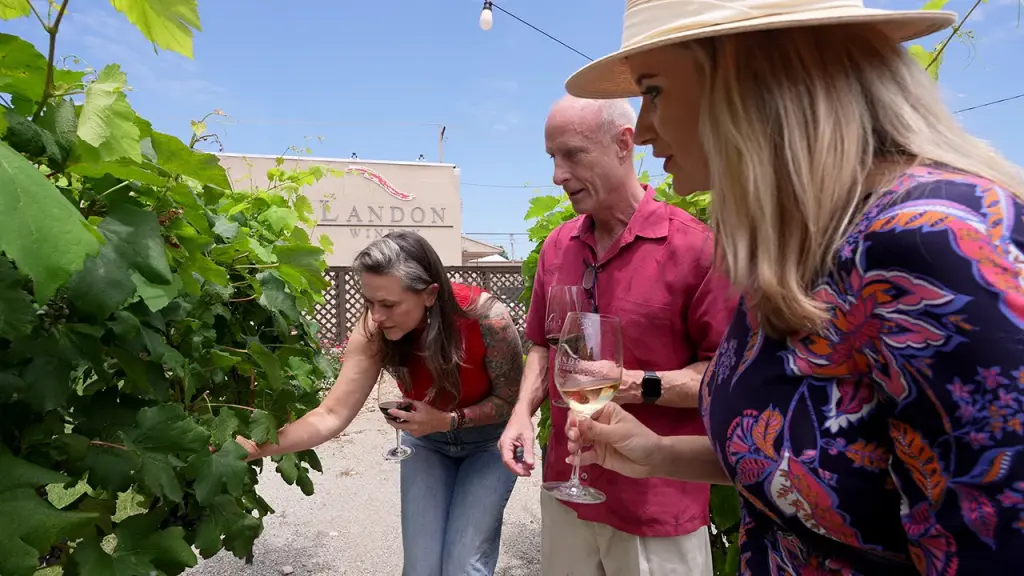 Texas winemaker displays local expertise and dedication to excellence