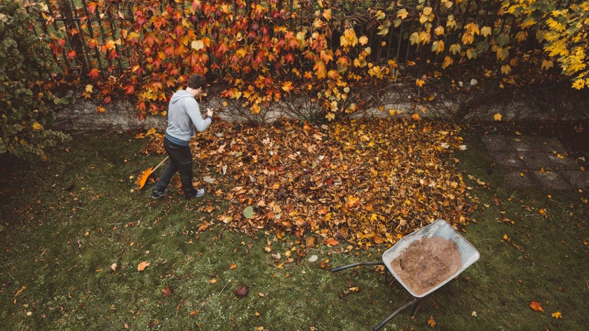 The key to a tidy yard this fall: 9 essential yard tools