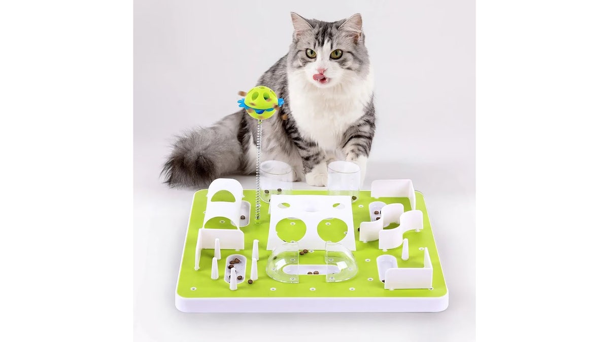 These pet toys reduce chewing and ease anxiety.