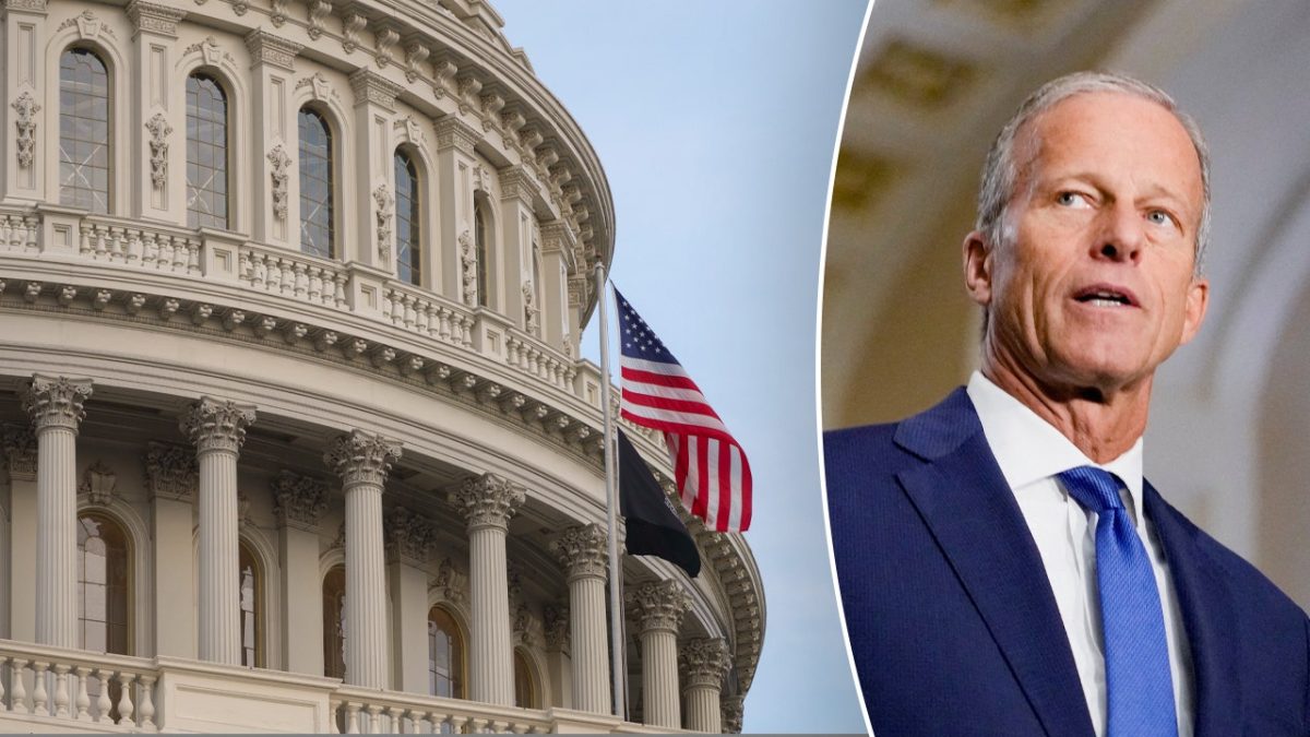 Thune seeks to fast-track nominee confirmations with Senate 'suitcase nuke'