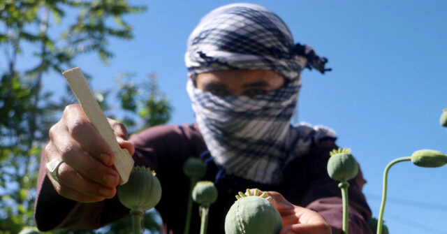 Trump Lists Afghanistan, India, China, and 20 Other Countries as Illegal Drug Risks