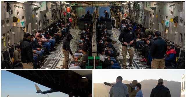 Trump Officials Reduce Asylum Loophole by 65 Percent