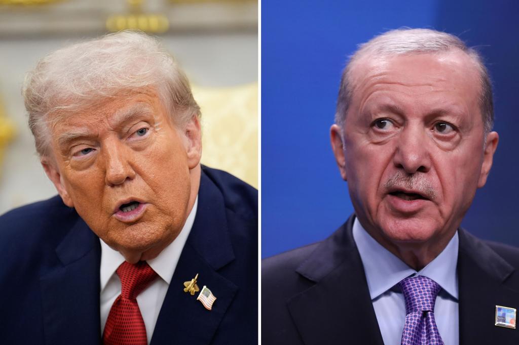 Trump criticizes Turkish president Erdogan for purchasing Russian oil during Oval Office meeting