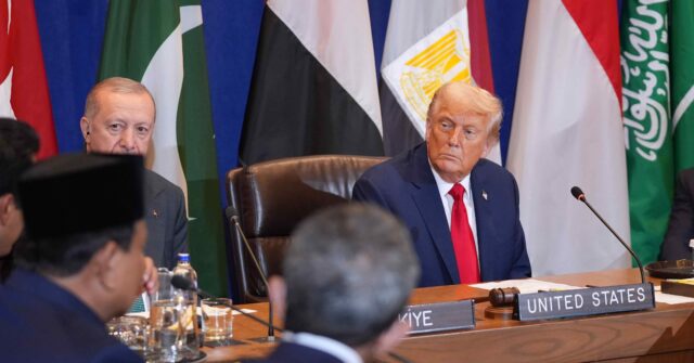 Trump's Gaza Proposal Gains Backing from Arab, Muslim Nations and the Palestinian Authority