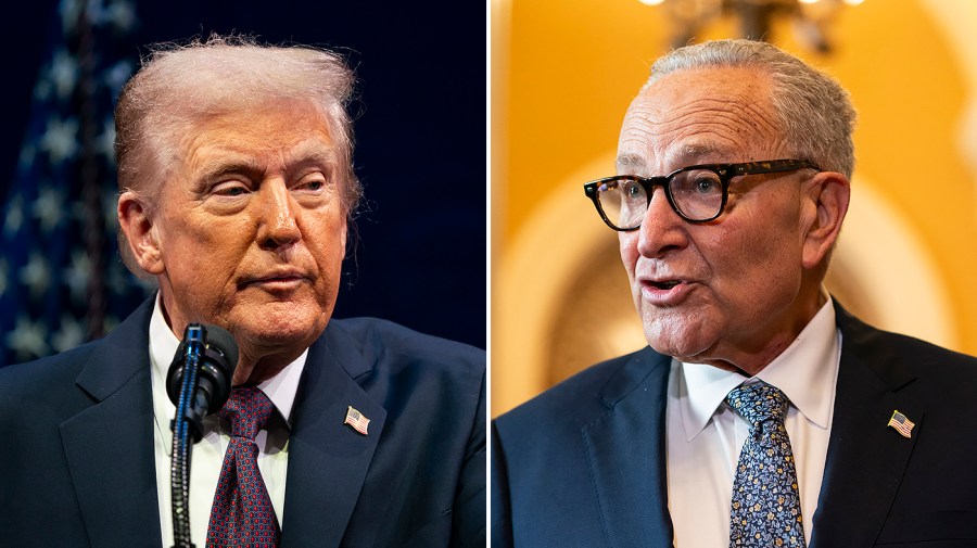 Trump's resentment towards Schumer raises the likelihood of a shutdown