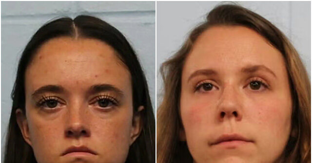 Two Educators at Wisconsin Elementary School Accused of Sexual Offenses Involving Children