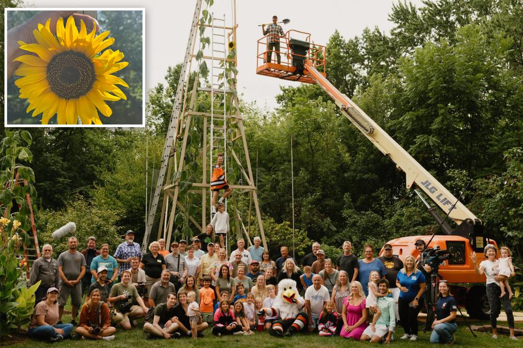 Ukrainian immigrant grows the tallest sunflower in the world in Indiana yard as a tribute to their war-affected homeland.