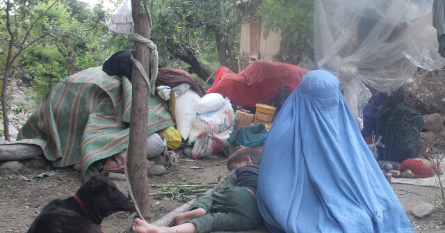 W.H.O. Appeals to Taliban to Allow Female Aid Workers for Earthquake Survivors