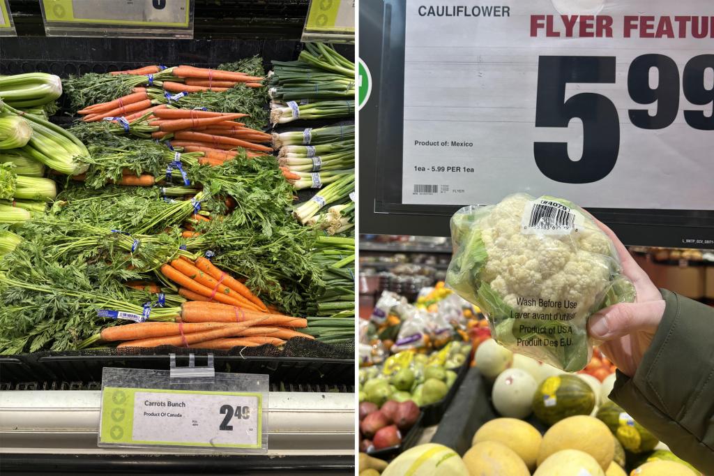 Watchdog identifies 45 stores for 'maple washing' amid US trade dispute, but no penalties are applied