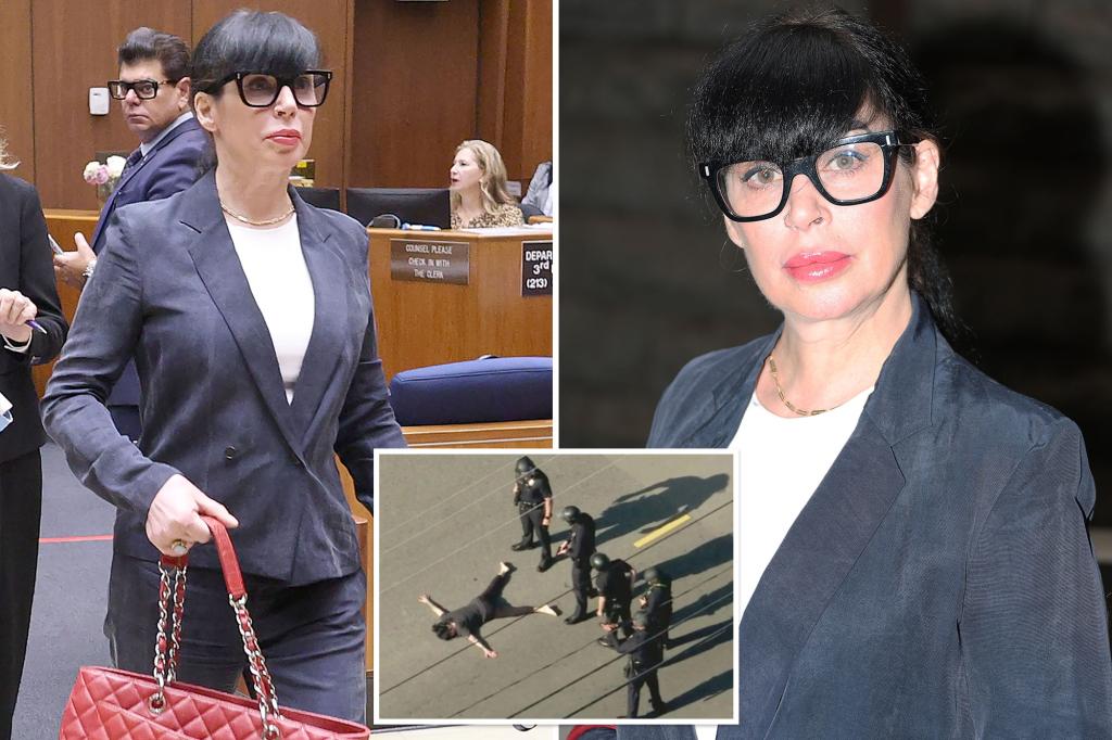 Weezer's wife Jillian Shriner will join a two-year mental health program following her dismissal from LAPD officers.