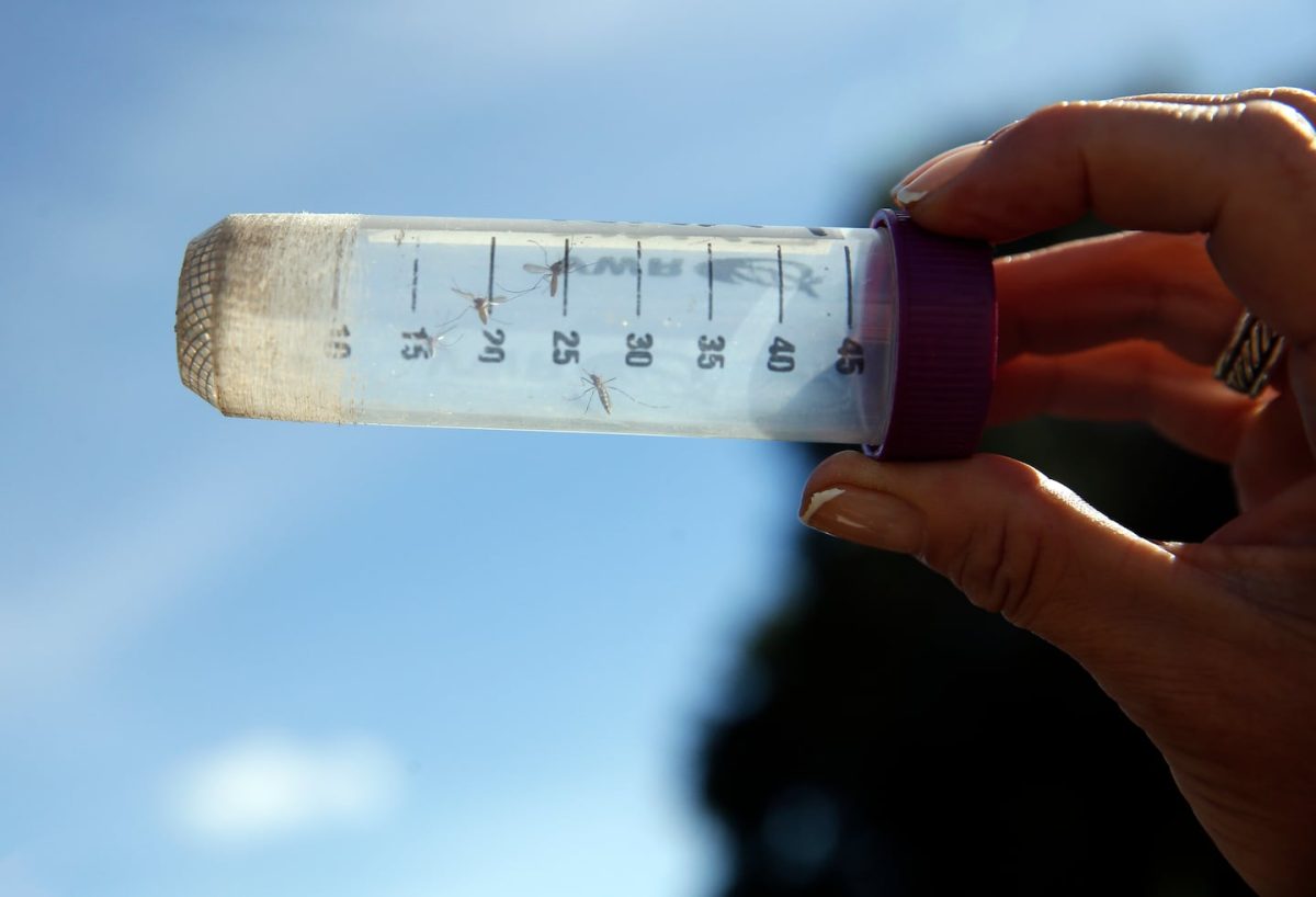 West Nile virus danger in Massachusetts