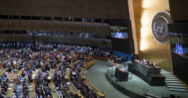 What BRICS Might Risk at This Year's U.N. General Assembly