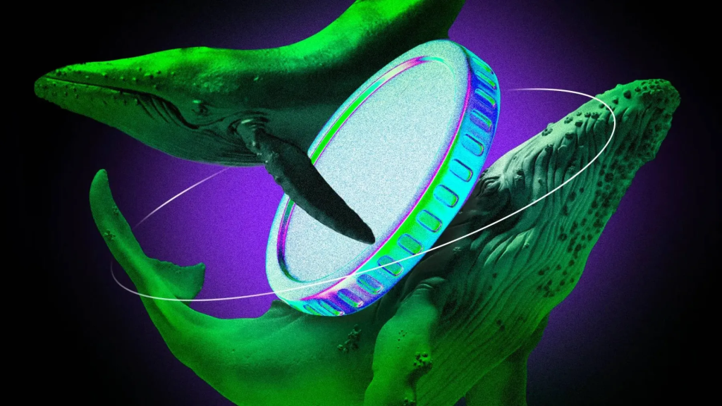 What Large Cryptocurrency Investors Are Purchasing in the Final Week of September