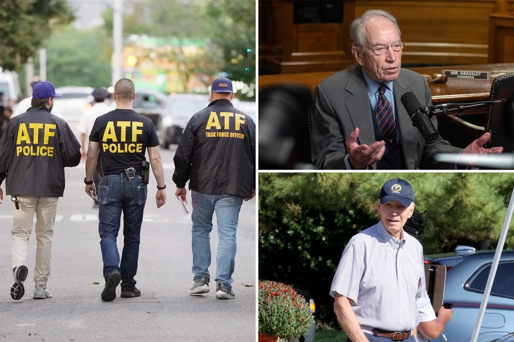 Whistleblower from ATF encountered 'threats of danger' and 'ongoing retaliation' after revealing supposed wrongdoing at the agency during Biden's administration.