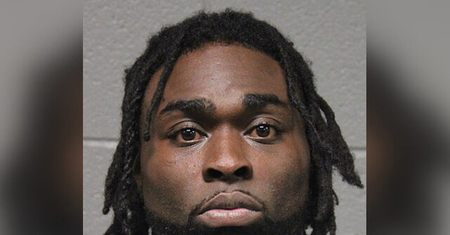 Woman Attacked by Career Criminal in Chicago Shares Her Story