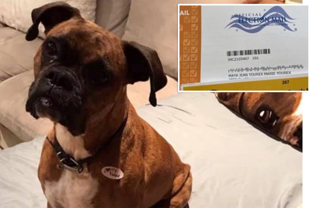 Woman in California charged with felonies for registering her dog to vote and casting two ballots