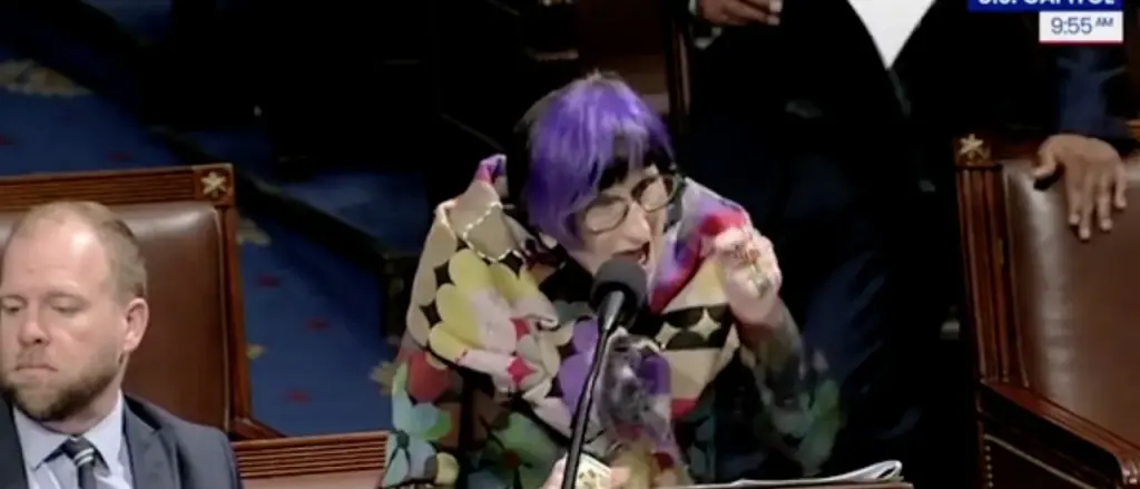 Woman with Purple Hair Yells at Republicans About Healthcare for Over a Minute