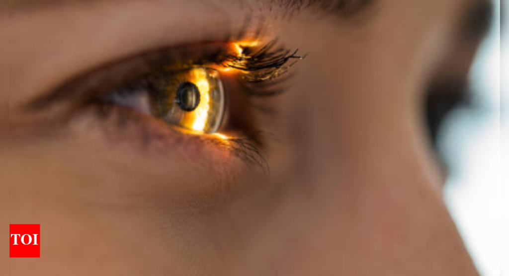 World Retina Day: Experts highlight how minor daily habits significantly benefit your eye health