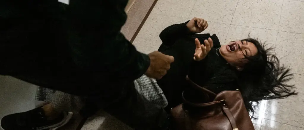 ‘Unacceptable’: DHS Launches Inquiry After ICE Officer Pushes Woman to the Ground