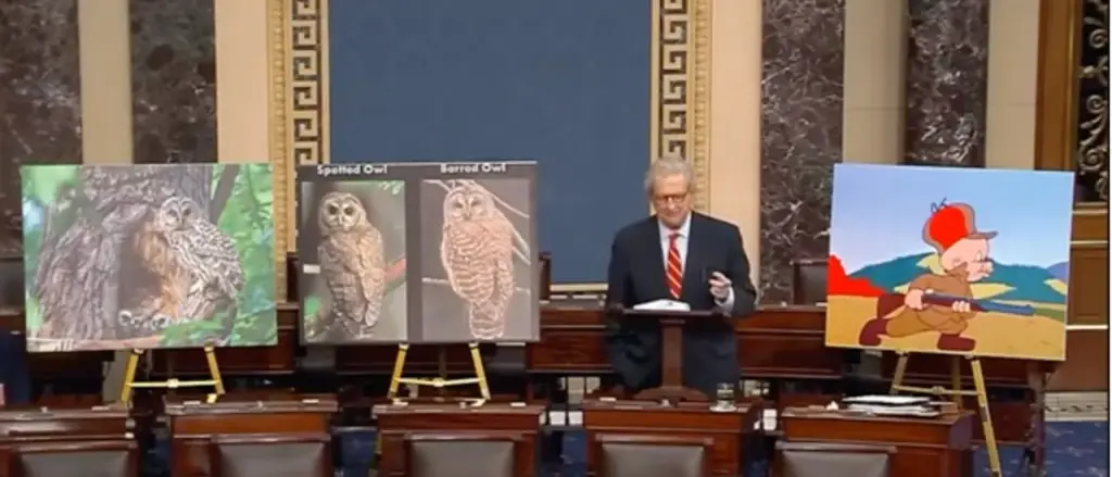 &lsquo;DEI For Owls&rsquo;: John Kennedy, Next to Elmer Fudd Image, Continuously Questions &lsquo;Who Appointed&rsquo; Bureaucrats God