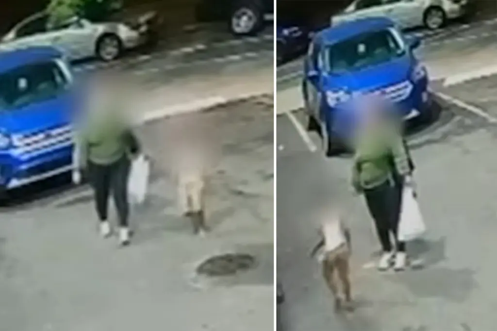 5-year-old boy with autism discovered alone outside laundromat in NYC while his mother was involved in a reported home invasion.