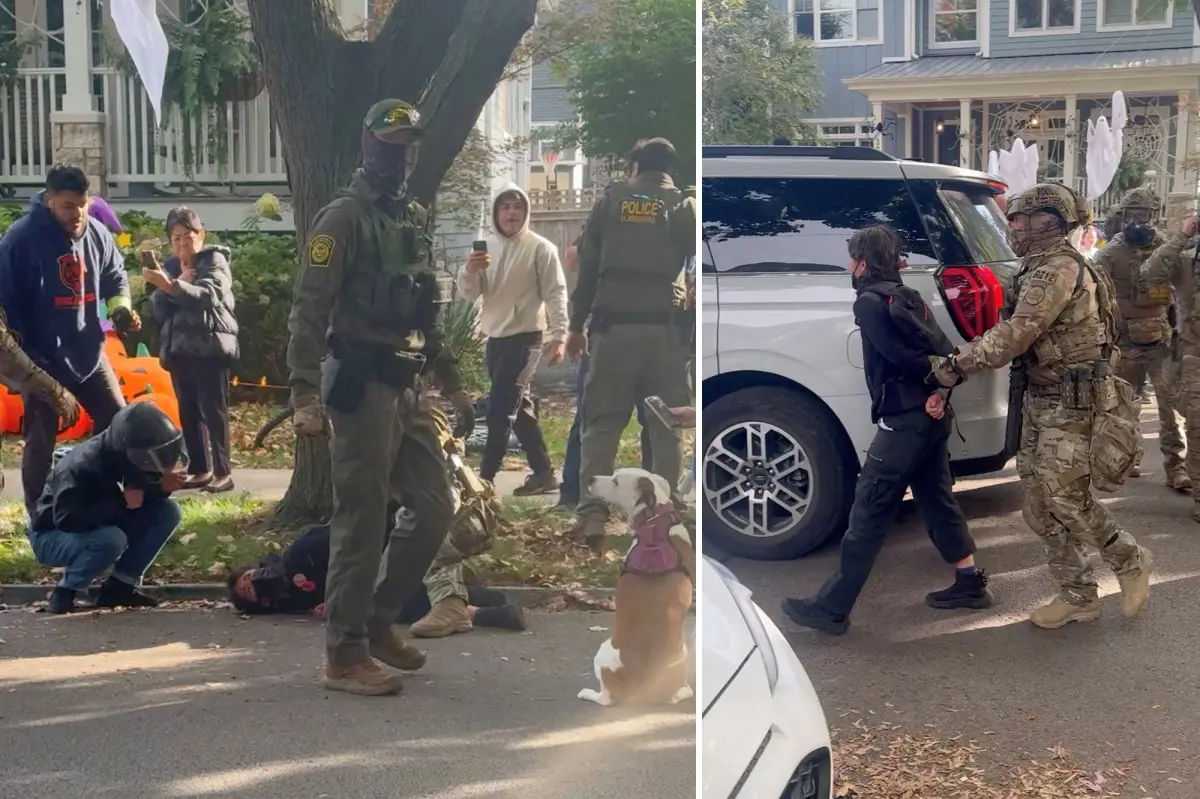 67-year-old American man breaks ribs after being pulled from car by Border Patrol agents in disturbing footage