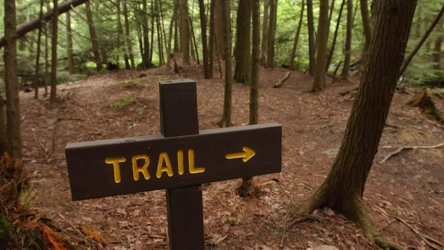 80-year-old is the oldest woman to complete the Appalachian Trail hike