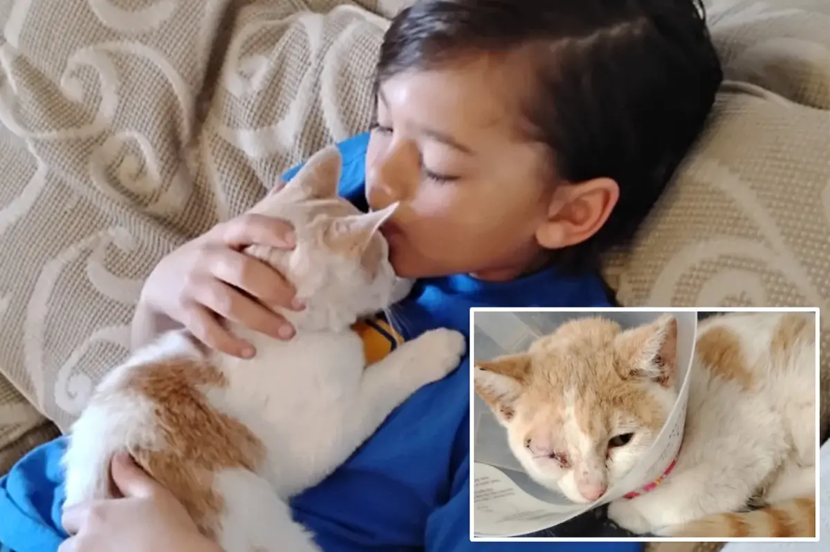 9-Year-Old Rescues Kitten That Was Being Thrown Around