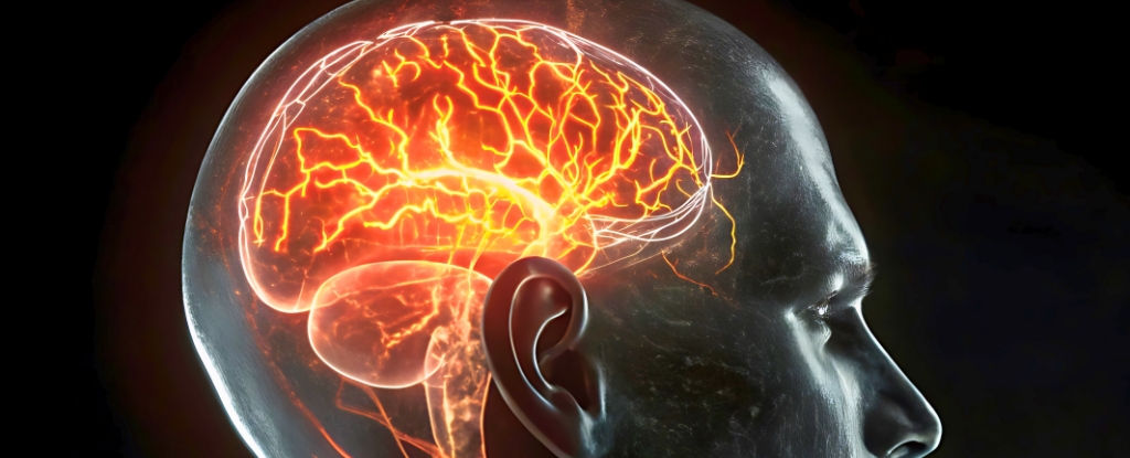 A Shape of Your Brain Could Indicate Future Dementia