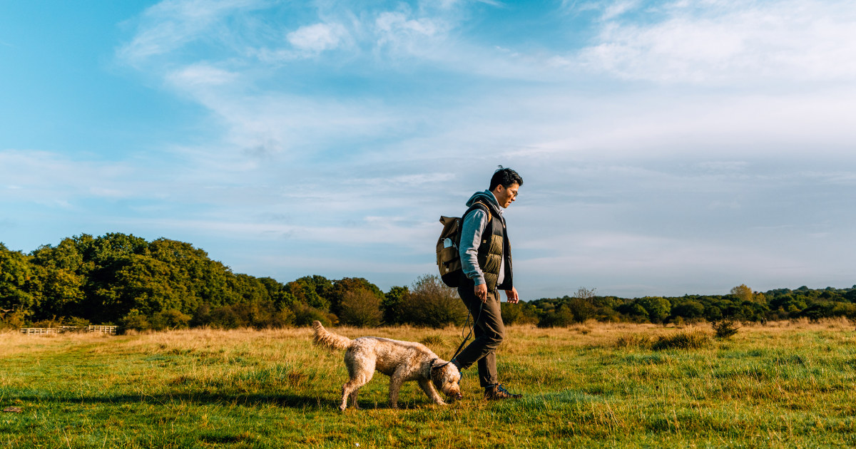 A study indicates that longer walks are more beneficial for health.