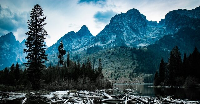 AI Fixation Feared Behind Missouri Man's Strange Vanishing in the Ozarks