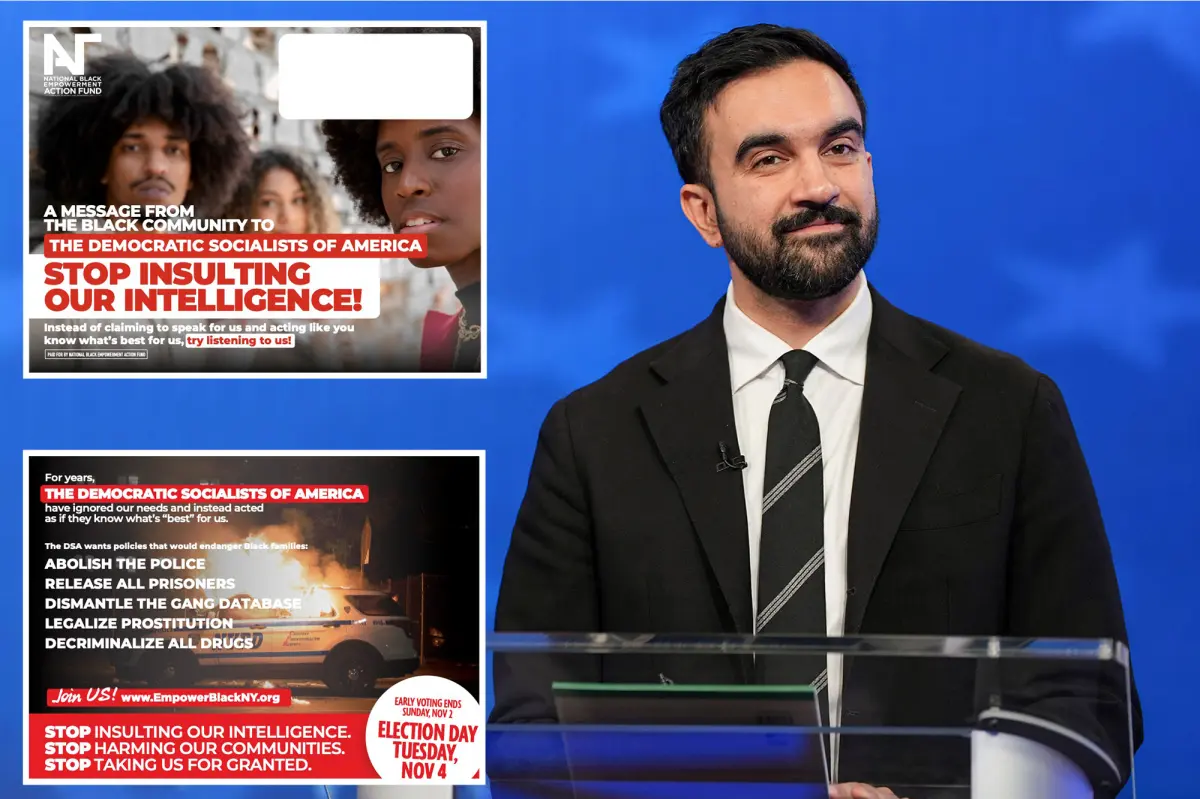 Advocacy group claims Zohran Mamdani's progressive plan is harmful to black New Yorkers