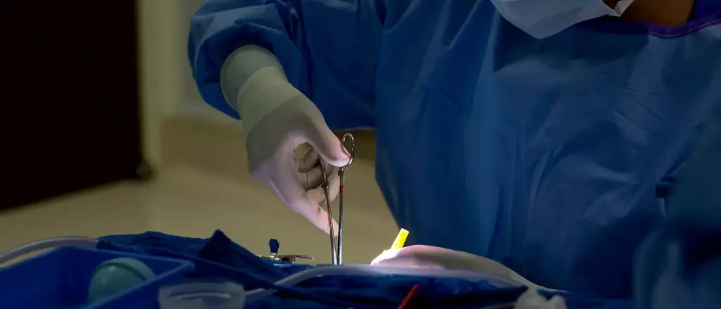 Alfredo Ortiz: Democrats Compromise Small Businesses for the Health Insurance Industry