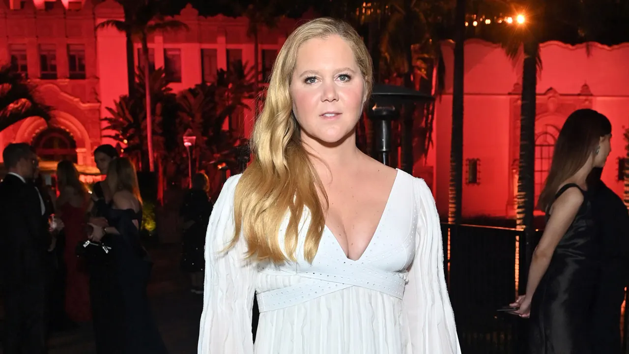 Amy Schumer displays her flat abs in a natural bathroom mirror selfie