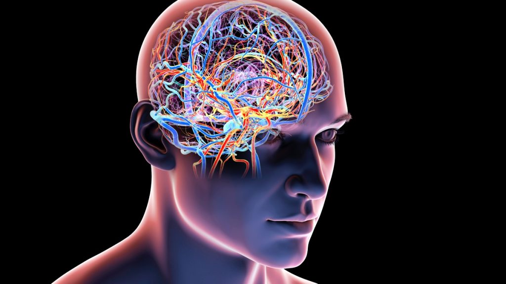 An Expert Shares Tips for Maintaining Cognitive Sharpness as You Get Older