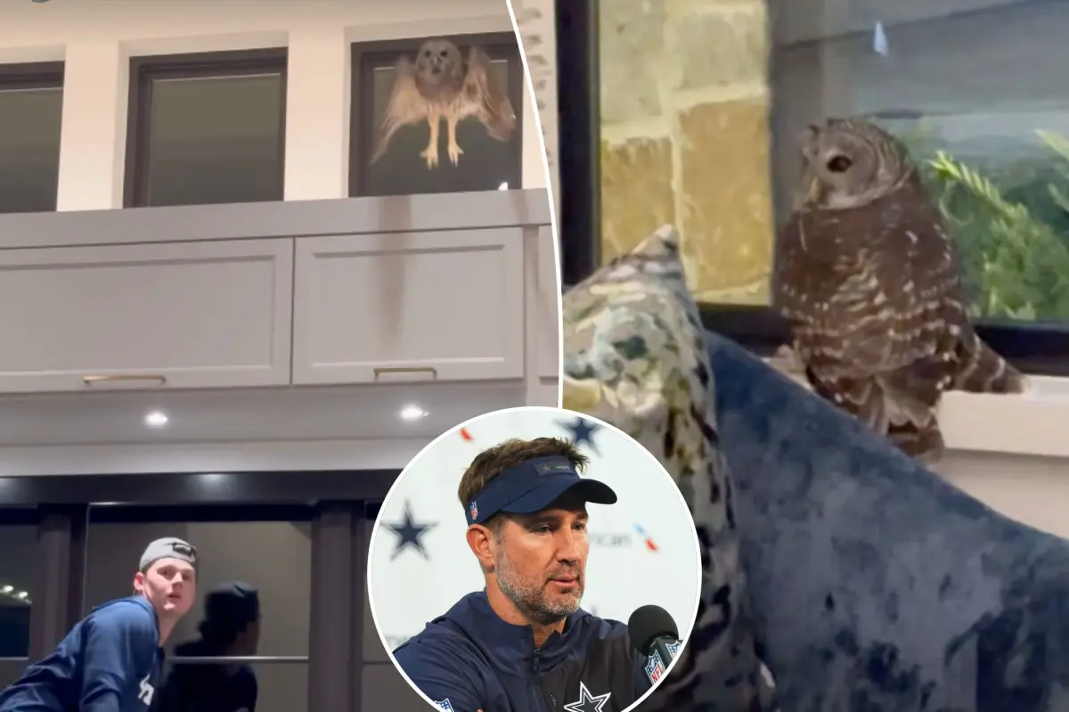 An owl entered the home of Cowboys coach Brian Schottenheimer.