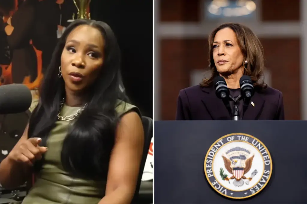 Anchor warns that Harris may face challenges in 2028 due to strained relationships with Democratic allies.