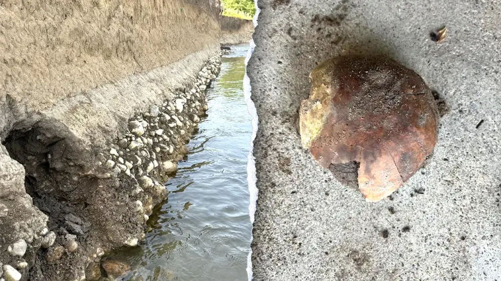 Ancient human skull discovered by enthusiast on Indiana riverbank