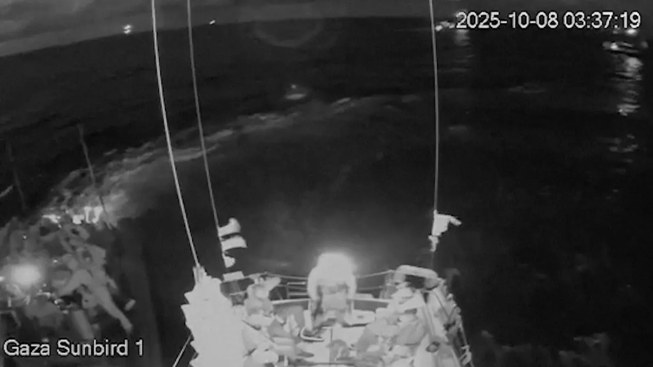 Another Gaza boat fleet stopped by Israeli forces, activists taken into custody